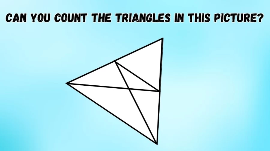 Brain Teaser Eye Test: Can you Count the Triangles in this Picture?