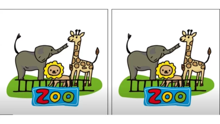 Brain Teaser Eye Test: Can you spot the 3 Differences within 20 Seconds