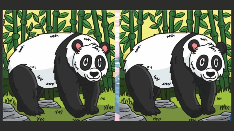 Brain Teaser Picture Puzzle: If you have Eagle Eyes find the 3 differences in less than 20 seconds!