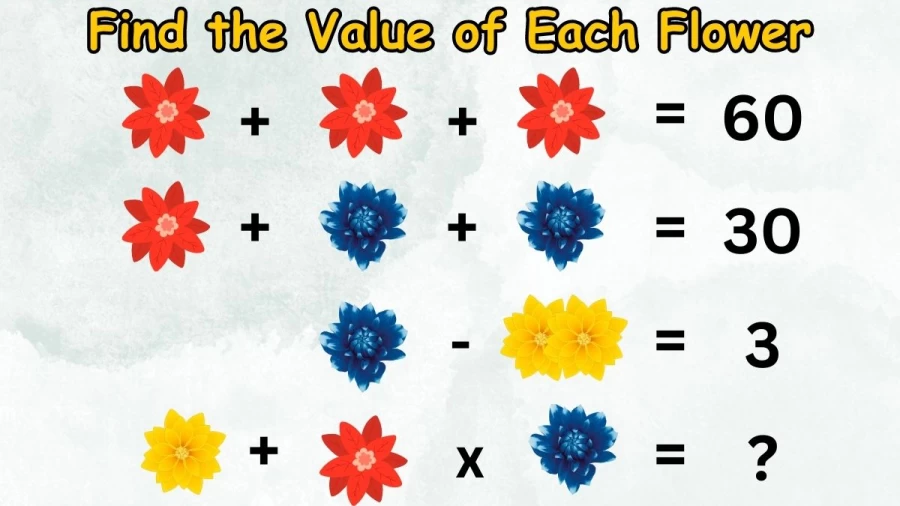 Brain Teaser Puzzle: Can You Solve and Find the Value of Each Flower?