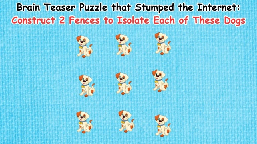 Brain Teaser Puzzle that Stumped the Internet: Construct 2 Fences to Isolate Each of These Dogs
