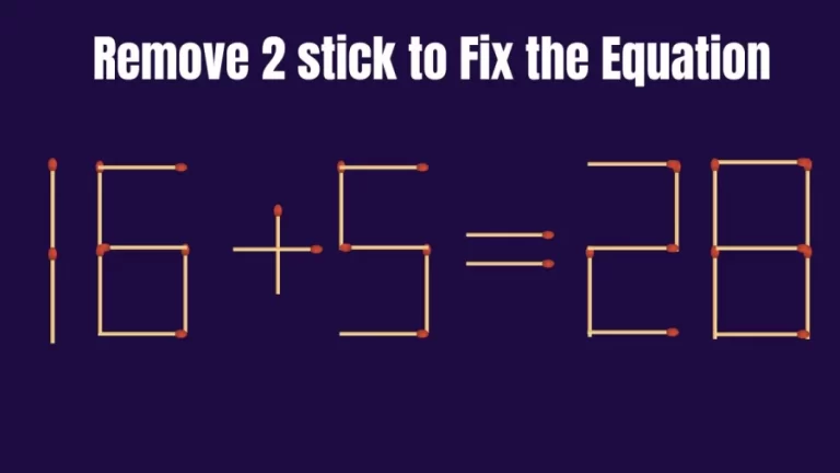 Brain Teaser: Remove 2 Matchsticks and Fix this Equation 16+5=28 | Tricky Matchstick Puzzle