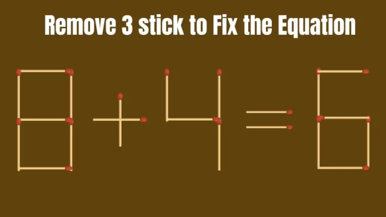 Brain Teaser: Remove 3 Matchsticks and Fix this Equation 8+4=6 | Tricky Matchstick Puzzle