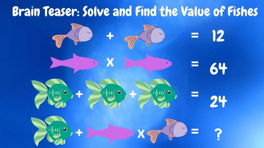 Brain Teaser: Solve and Find the Value of Fishes