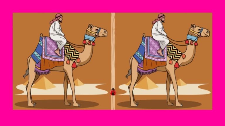 Brain Teaser Spot The Difference Game: Can You Spot 3 Differences in 25 Secs? Visual Puzzle