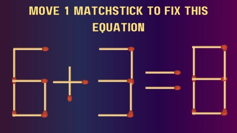 Brain Teaser: Test your genius IQ 6+3=8 Move 1 Matchstick to Fix this Equation | Matchstick Puzzles