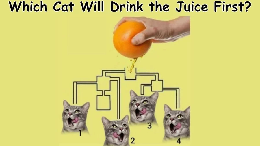 Brain Teaser: Which Cat Will Drink the Juice First? Logical Picture Puzzle