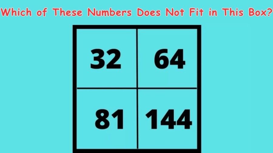 Brain Teaser: Which of These Numbers Does Not Fit in This Box? Math Puzzle
