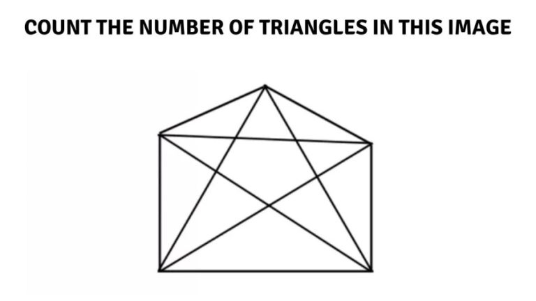 Brain Teaser for Sharp Eyes: Count the Number of Triangles in this Image