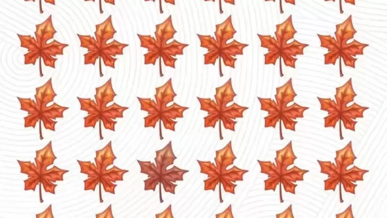 Brain Test: If You Have Sharp Eyes Find The Odd Leaf In 12 Secs?