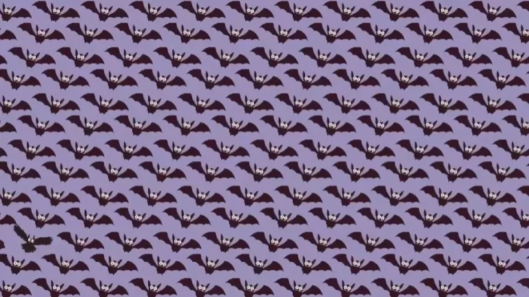 Can You Find The Owl Among The Bats Within 10 Seconds? Explanation And Solution To The Optical Illusion