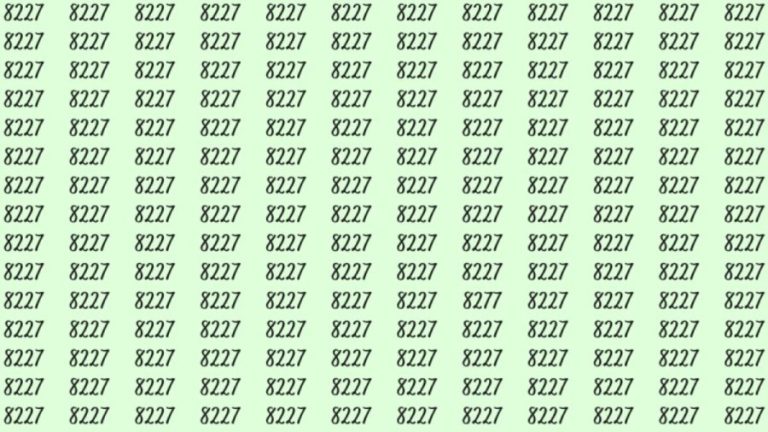 Can You Spot 8277 among 8227 in 7 Seconds? Explanation And Solution To The Optical Illusion