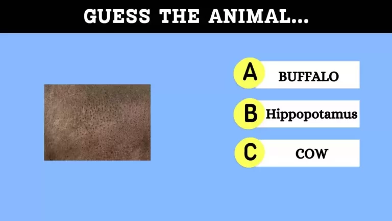 Can you Guess the Animal’s Name in Just 10 Secs