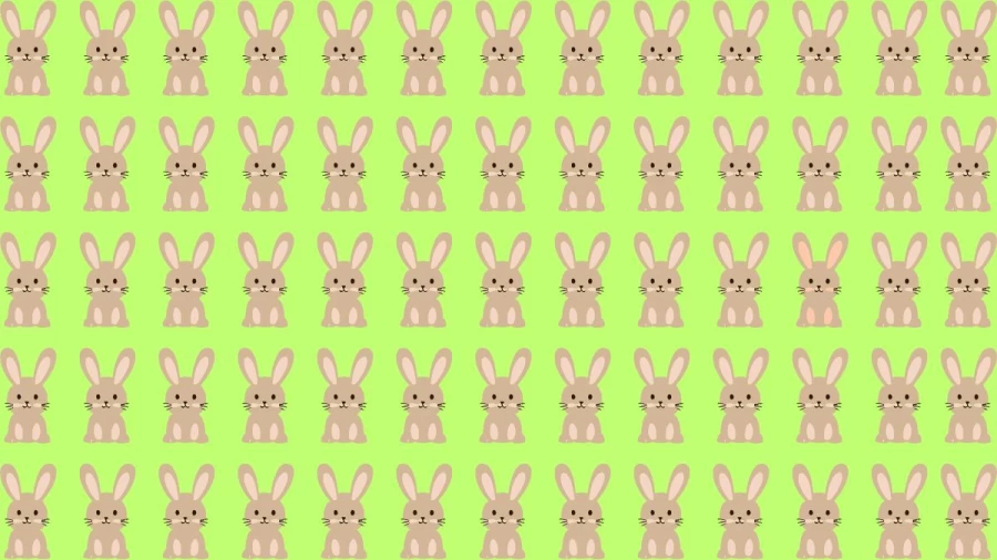 Can you Spot the Odd Rabbit in this Image Within 13 Secs? Explanation and Solution to the Optical Illusion