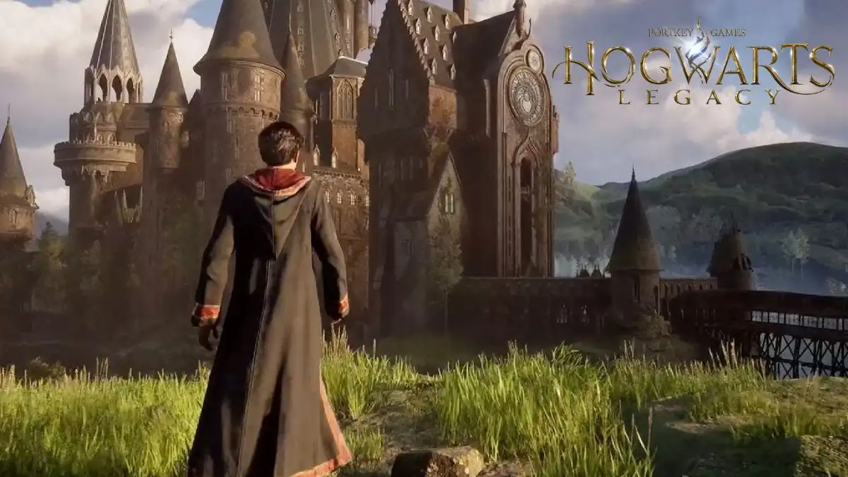 Hogwarts Legacy Difficulty Settings Explained, and Gameplay