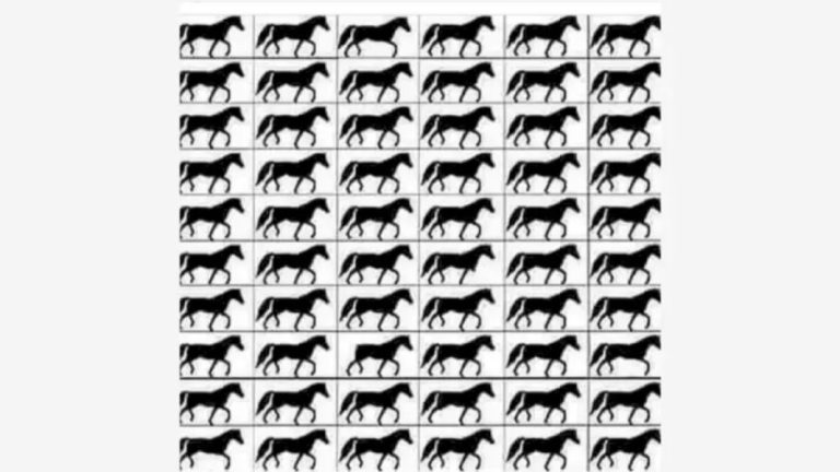 How Many Horses with 3 Legs? Solve this Brain Teaser within 45 Secs