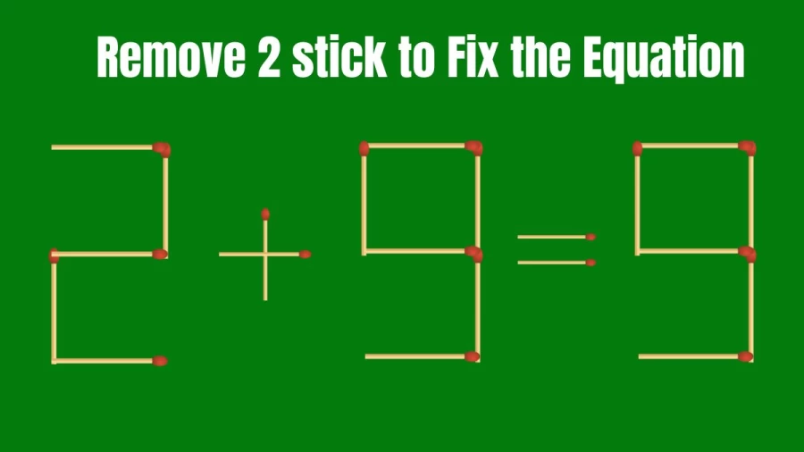Matchstick Brain Teaser: Remove 2 Matchsticks and Correct the Equation 2+9=9 in 30 Secs