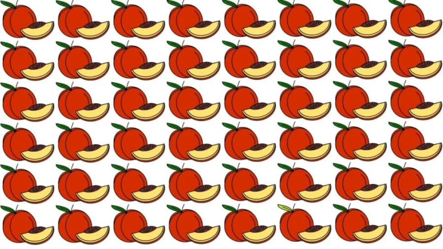 Observation Brain Test: Find the Odd One Out in this Visual Puzzle in 15 Secs