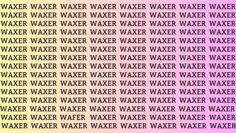 Observation Skill Test: Can you find the Word WAFER in 10 Seconds?