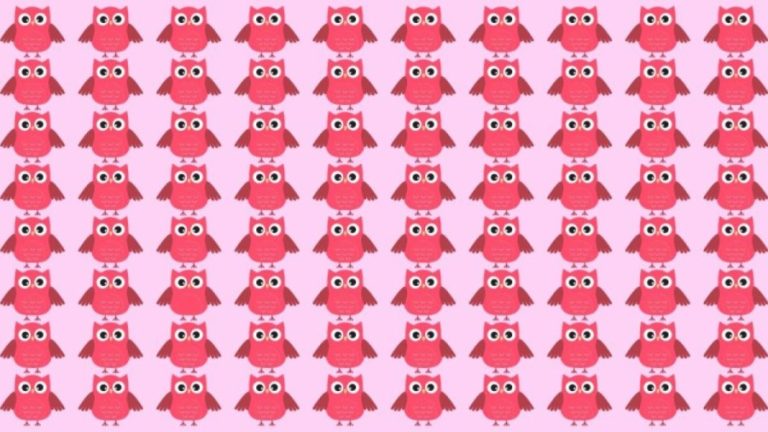 Observation Skill Test: Can you find the odd Owl in the picture within 10 seconds