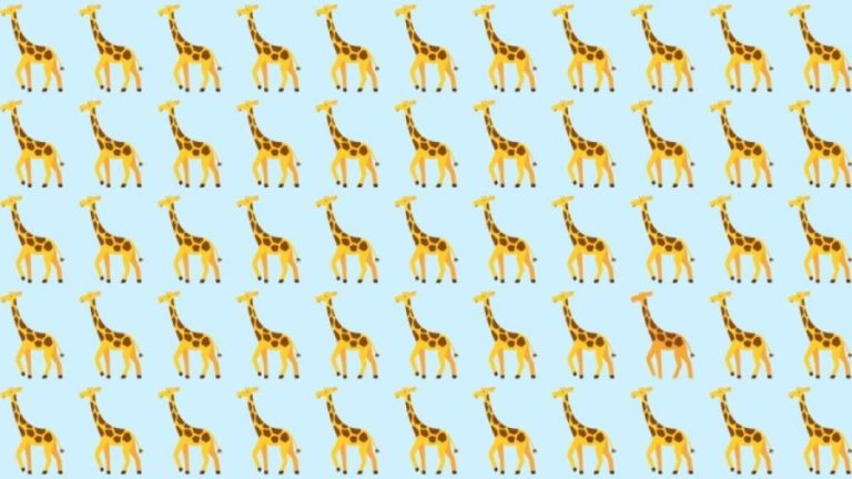 Observation Skill Test: Can you spot which Giraffe is different in 10 seconds?