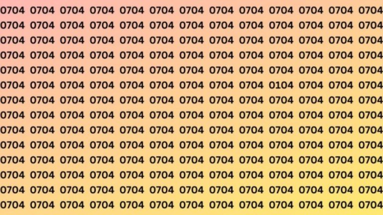 Observation Skills Test: Can you find the number 0704 among 0104 in 15 seconds?