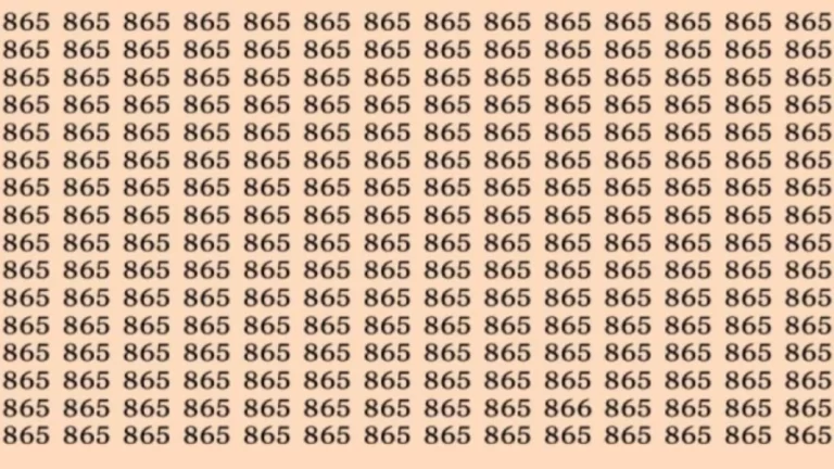 Observation Skills Test: Can you find the number 866 among 865 in 10 seconds?