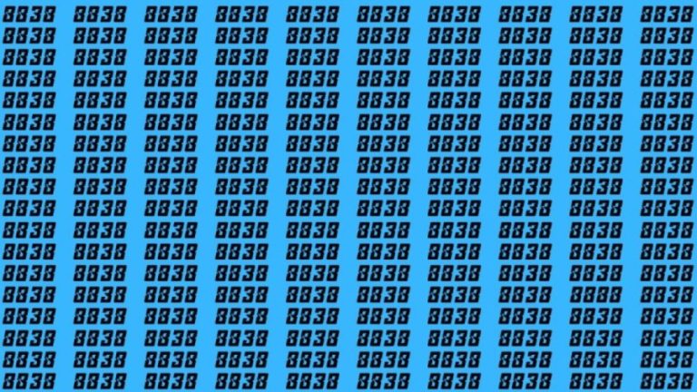 Observation Skills Test: Can you find the number 8888 among 8838 in 10 seconds?