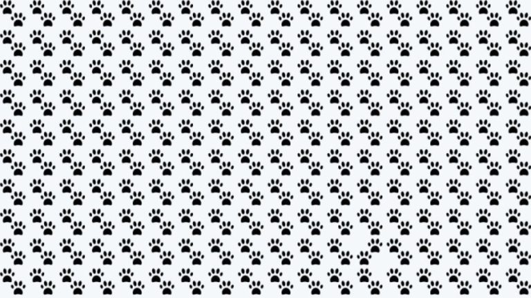 Observation Skills Test: Can you spot which Pawprints are different in 10 seconds?