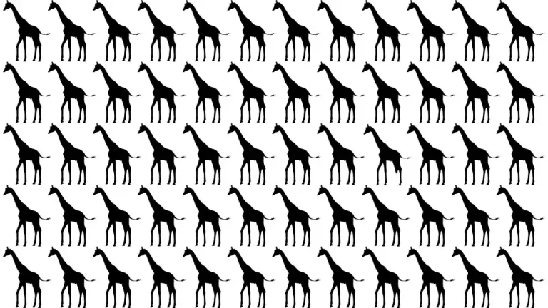 Only 5% of People Can Spot the Odd Giraffe in This Image Within 10 Seconds