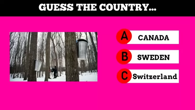 Only Genius can Guess the Country Name in Just 12 Seconds