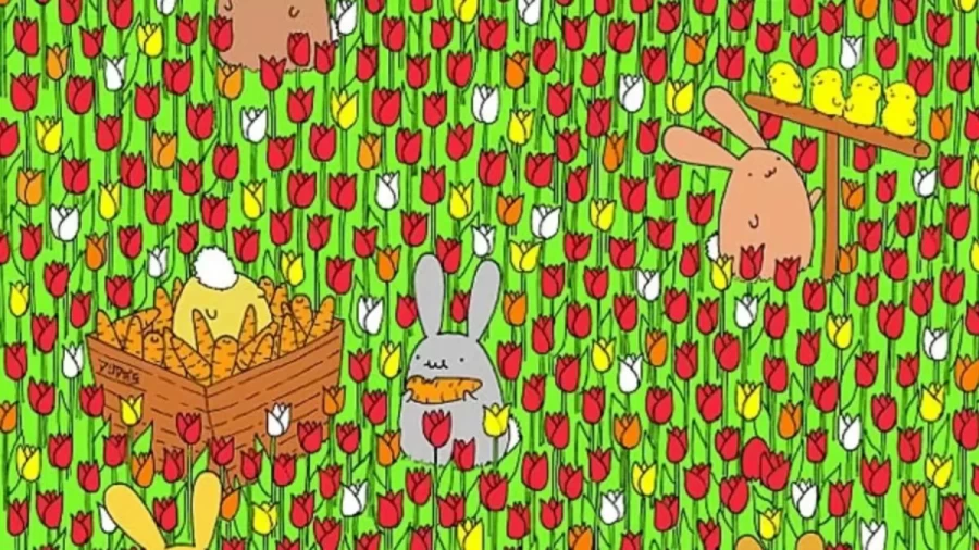 Optical Illusion Brain Test: Can you find the Hidden Egg in this Picture within 12 Seconds