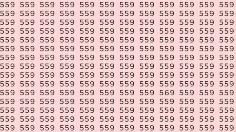 Optical Illusion: Can you find 569 among 559 in 5 Seconds? Explanation and Solution to the Optical Illusion