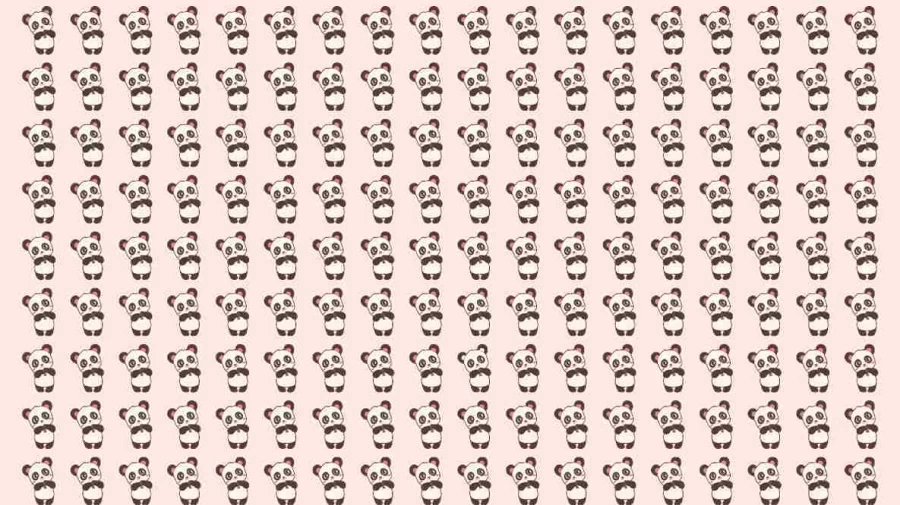 Optical Illusion: Can you find the Odd Panda within 10 Seconds?