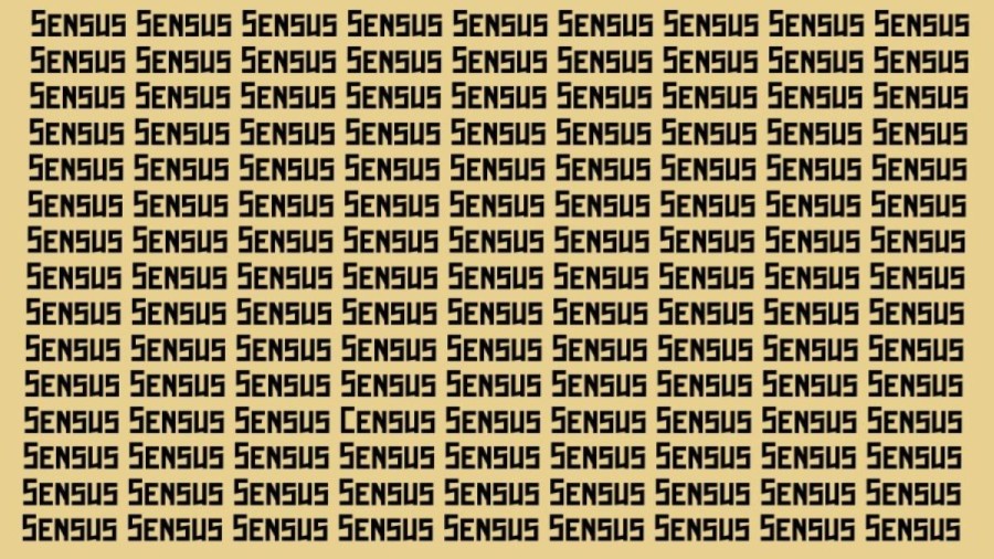 Optical Illusion: Can you find the Word Census in 10 Seconds?