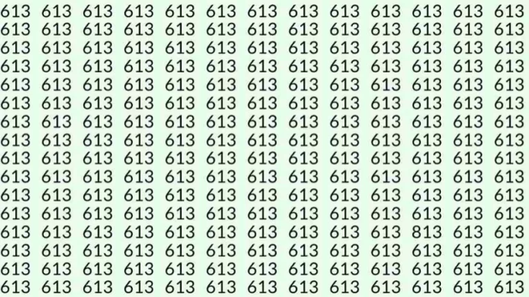 Optical Illusion Challenge: Can you find 813 among 613 in 8 Seconds?