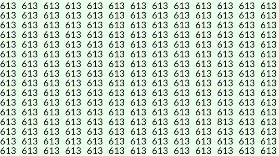 Optical Illusion Challenge: Can you find 813 among 613 in 8 Seconds?