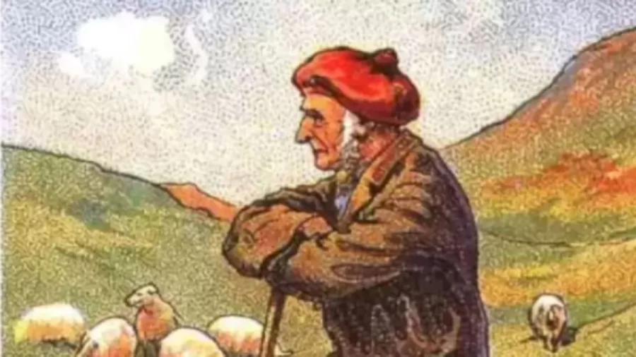 Optical Illusion Challenge: Can you help the Shepherd to find his Dog?
