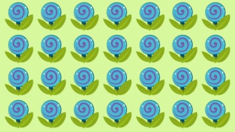 Optical Illusion Challenge: Only Genius Can Find the Hidden Candy Among the Blue Flowers within 15 seconds?