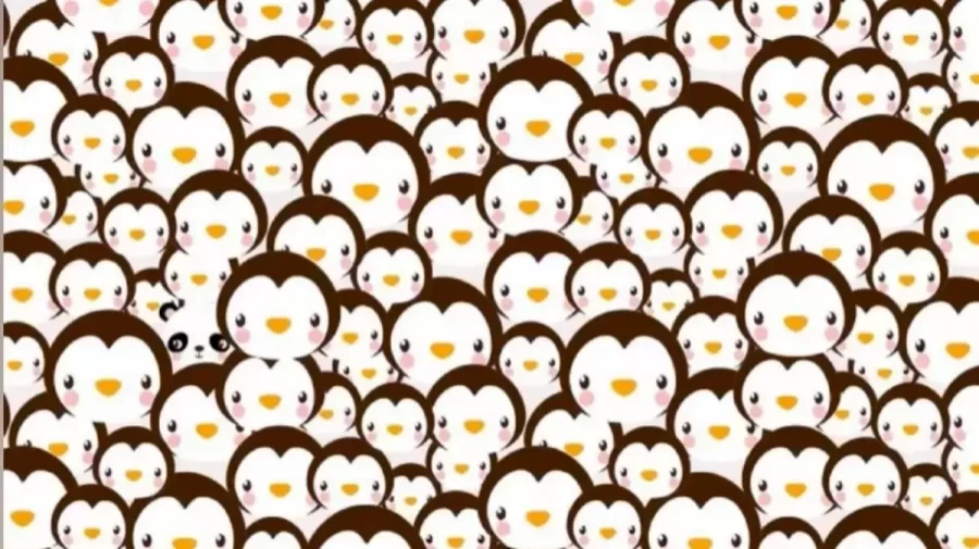 Optical Illusion Eye Test: If You have Sharp Eyes Locate the Panda among These Penguins Within 11 Seconds?