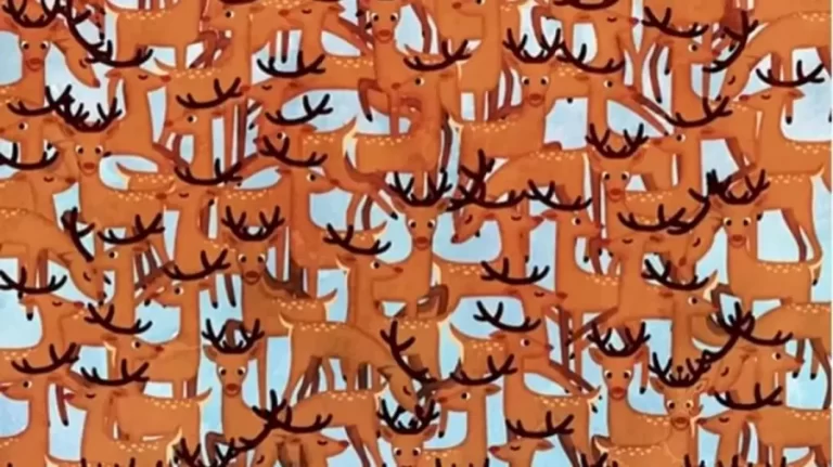 Optical Illusion Eye Test: There is a Robotic Reindeer Hidden among these Reindeers. Do You See It?