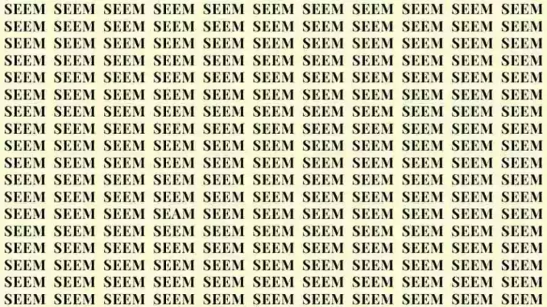 Optical Illusion: If you have Hawk Eyes Find the Word Seam among Seem in 6 Seconds?