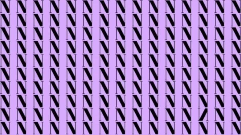 Optical Illusion: If you have Sharp Eyes find the Inverted N in the picture within 15 Secs