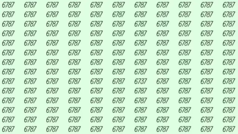 Optical Illusion: If you have eagle eyes find 6737 among 6787 in 6 Seconds?