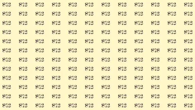 Optical Illusion: If you have eagle eyes find 818 among 813 in 5 Seconds?