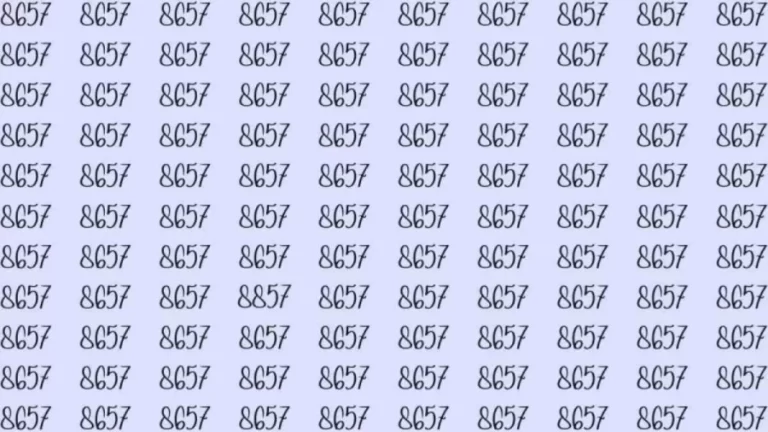 Optical Illusion: If you have eagle eyes find 8857 among 8657 in 15 Seconds?