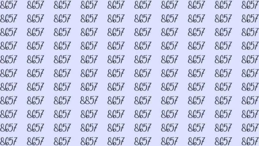 Optical Illusion: If you have eagle eyes find 8857 among 8657 in 15 Seconds?