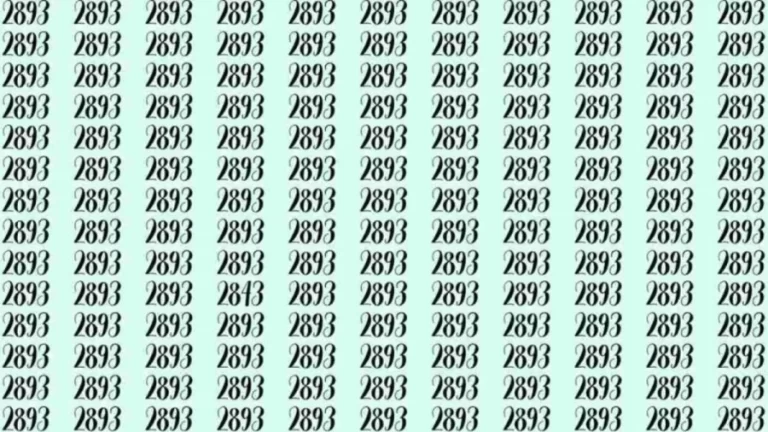 Optical Illusion: If you have sharp eyes find 2843 among 2893 in 15 Seconds?