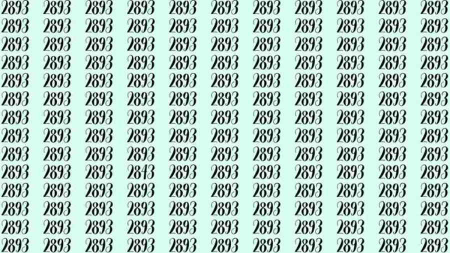 Optical Illusion: If you have sharp eyes find 2843 among 2893 in 15 Seconds?