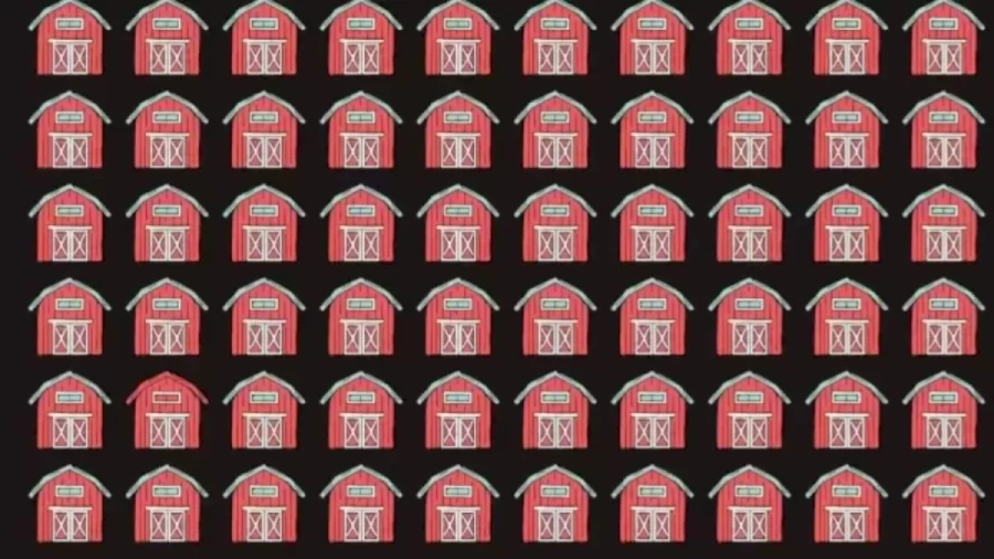 Optical Illusion Vision Test: Can you find the Different Barn?